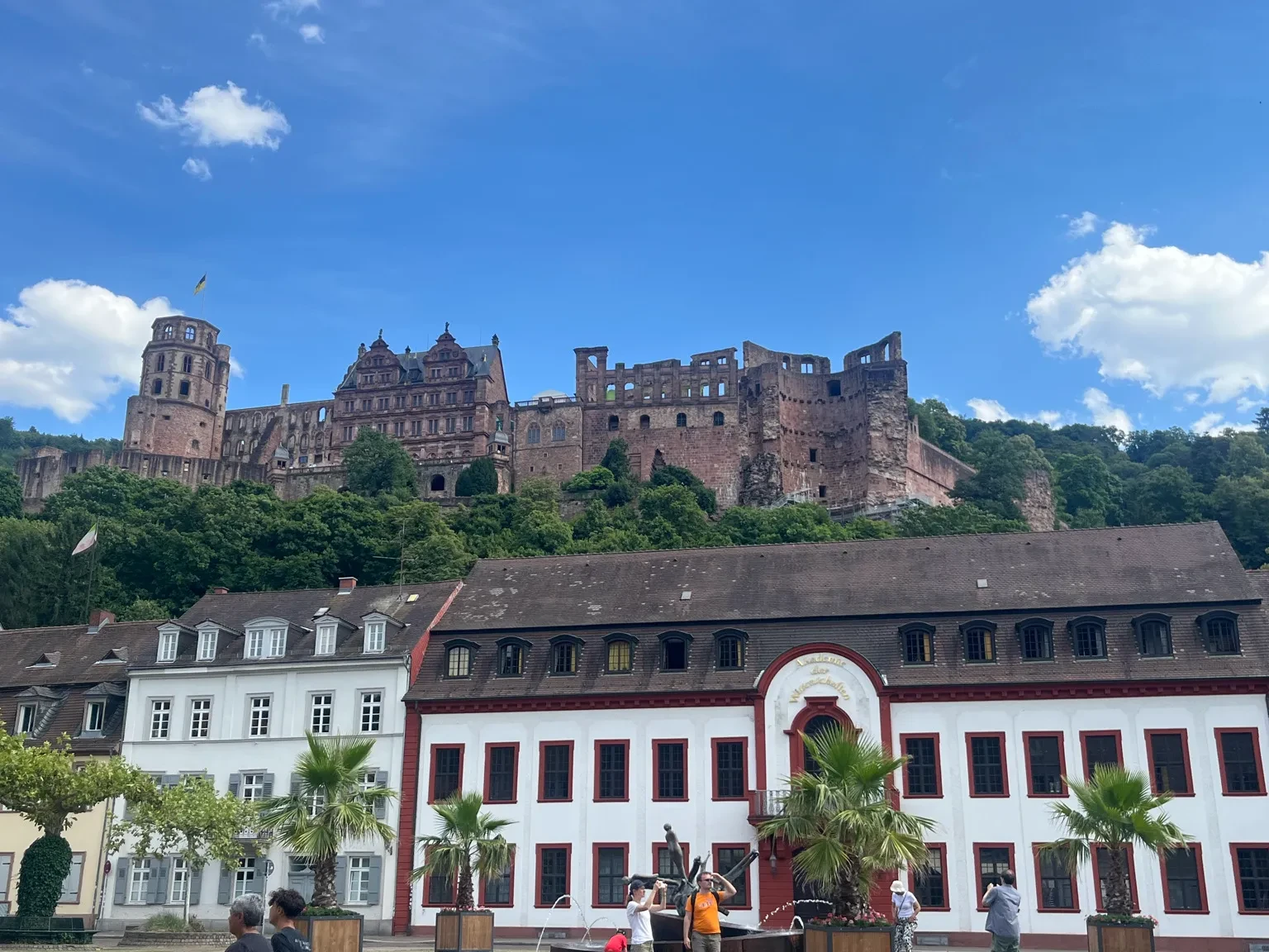 Heidelberg Castle overlooking a historic town in Germany.